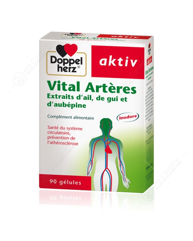 Doppelherz AKTIV Vital Artères 90Gél.-1