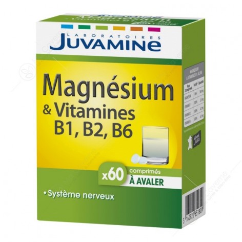 JUVAMINE Fizz Magnésium + Vitamines B6, B2, B1 Bt60 Cp-1